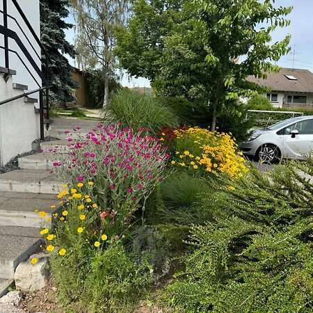 Ferienwohnung Haus Waldeck Ühlingen-Birkendorf Exterior foto
