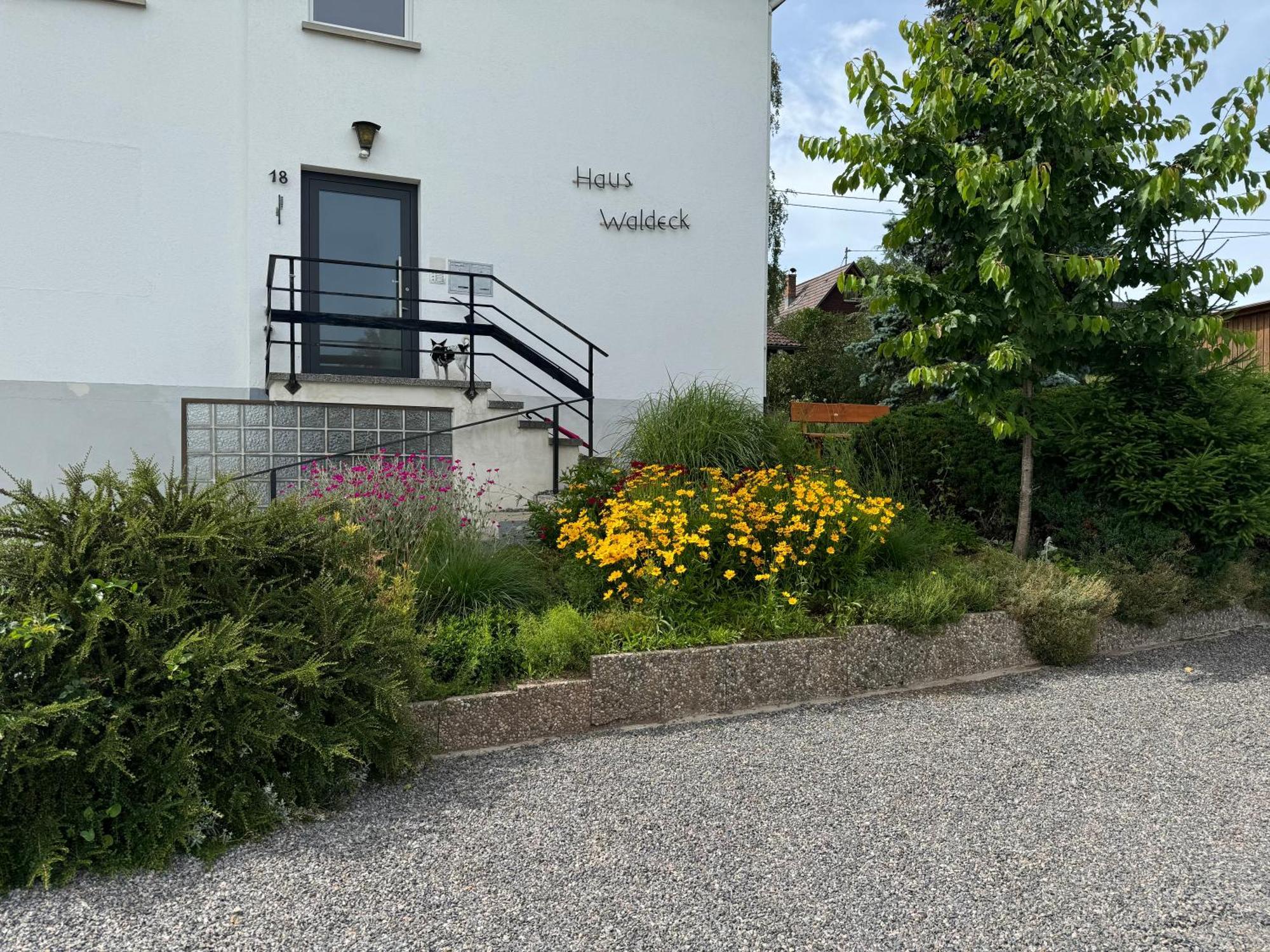 Ferienwohnung Haus Waldeck Ühlingen-Birkendorf Exterior foto