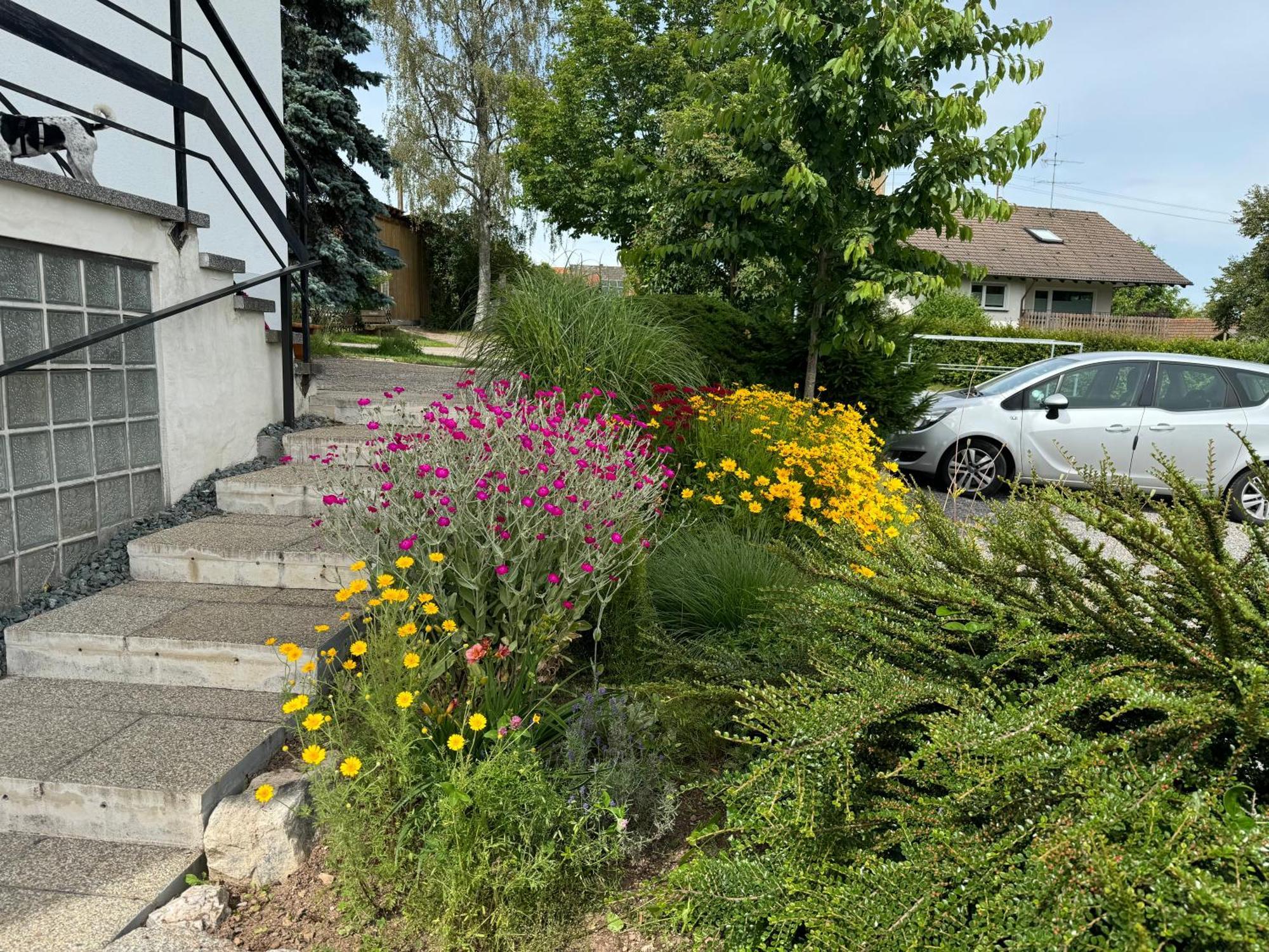 Ferienwohnung Haus Waldeck Ühlingen-Birkendorf Exterior foto